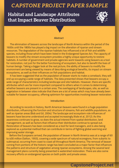 sample title for capstone project for information technology